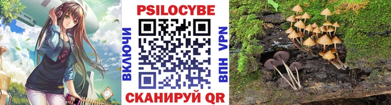Псилоцибиновые грибы ЛСД  Купить закладки  Красновишерск 